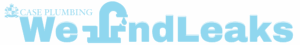 We-Find-Leaks-Logo-transparent